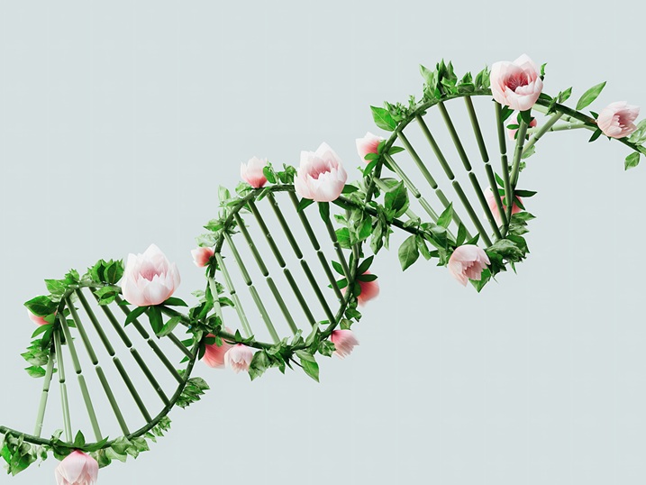 Cosmesi Epigenetica: il futuro anti-age è già nel tuo DNA